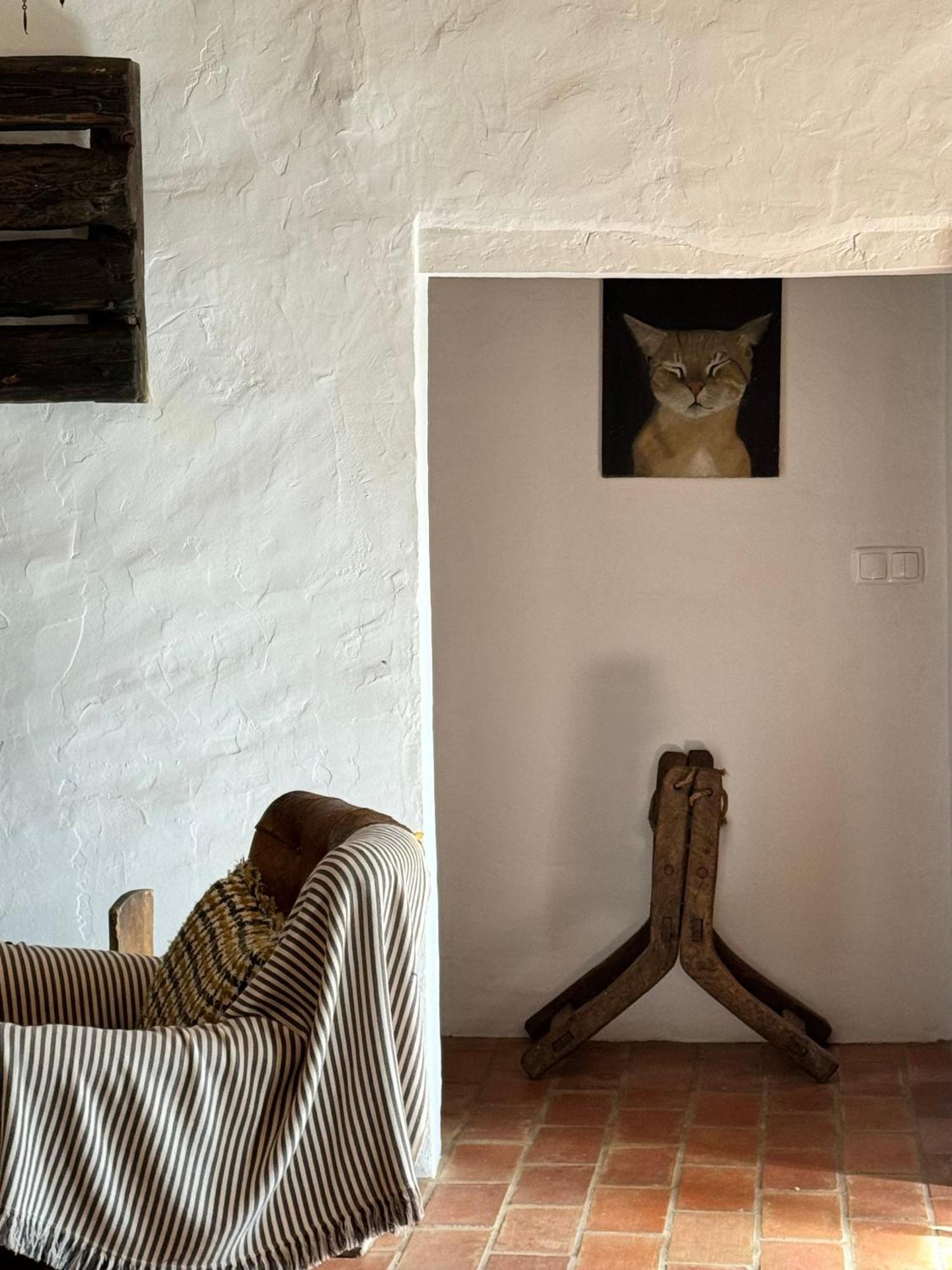 The Stream House - Montes Da Ronha Villa ซัมบูเจย์ราโดมาร์ ภายนอก รูปภาพ